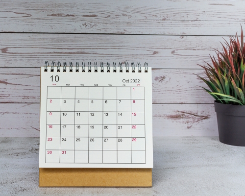 Photograph of a blank calendar on a table next to a pot plant.