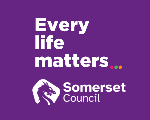 Every Life Matters and Somerset Council logos in white on a purple background.