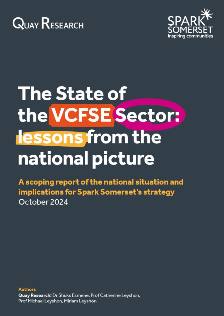 The State of the VCFSE Sector: Lessons from the National Picture (download link)