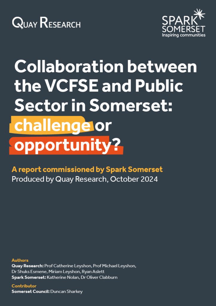 Collaboration between the VCFSE and Public Sector in Somerset: challenge or opportunity (link to download the report)