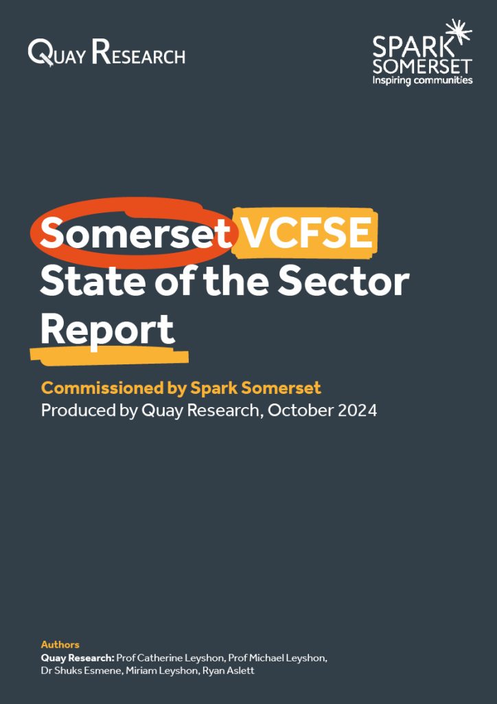 Somerset VCFSE State of the Sector Report (download link)