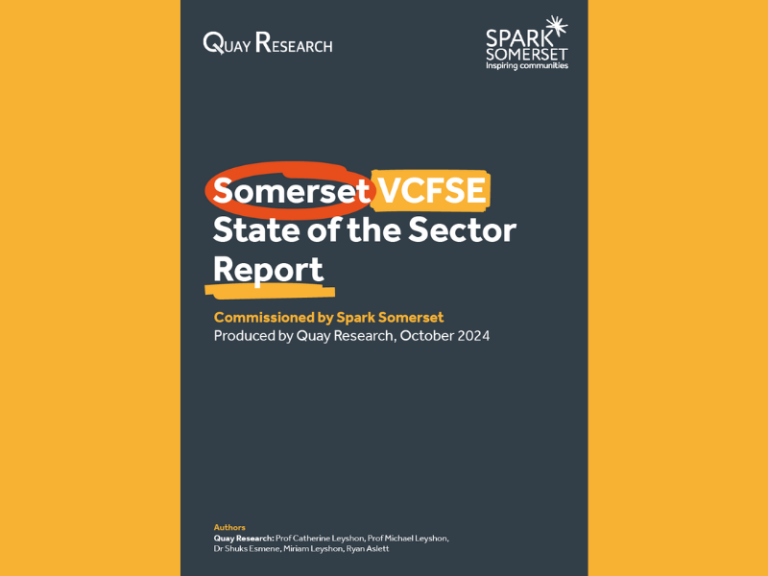 Front cover of the 2024 State of the Sector report